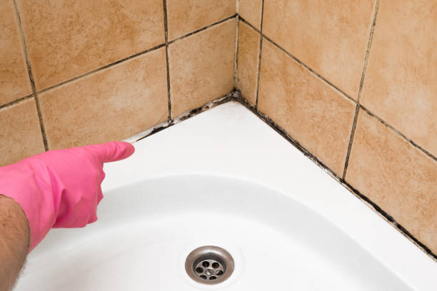 Best Industrial Mold Remediation in Montara, CA